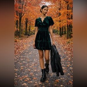 Anthropologie NWT The Somerset Mini Dress:
Velvet Edition size XXS.